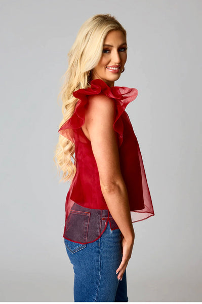 Kaycee Organza Ruffle Sleeve Top